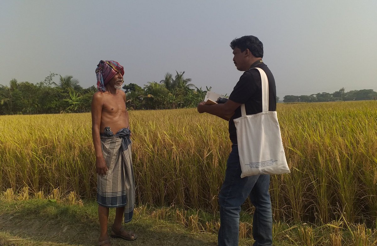 ri_montu's tweet photo. Paddy was lost from #Dakop in 2009 due to #CycloneAila. Due to the construction of the embankment, the rainy season paddy has returned. Initiatives have been taken to cultivate dry season paddy in Dakope by conserving fresh rain water in the canal.
--
Dakop, Khulna, #Bangladesh https://t.co/TL03K8UFpu