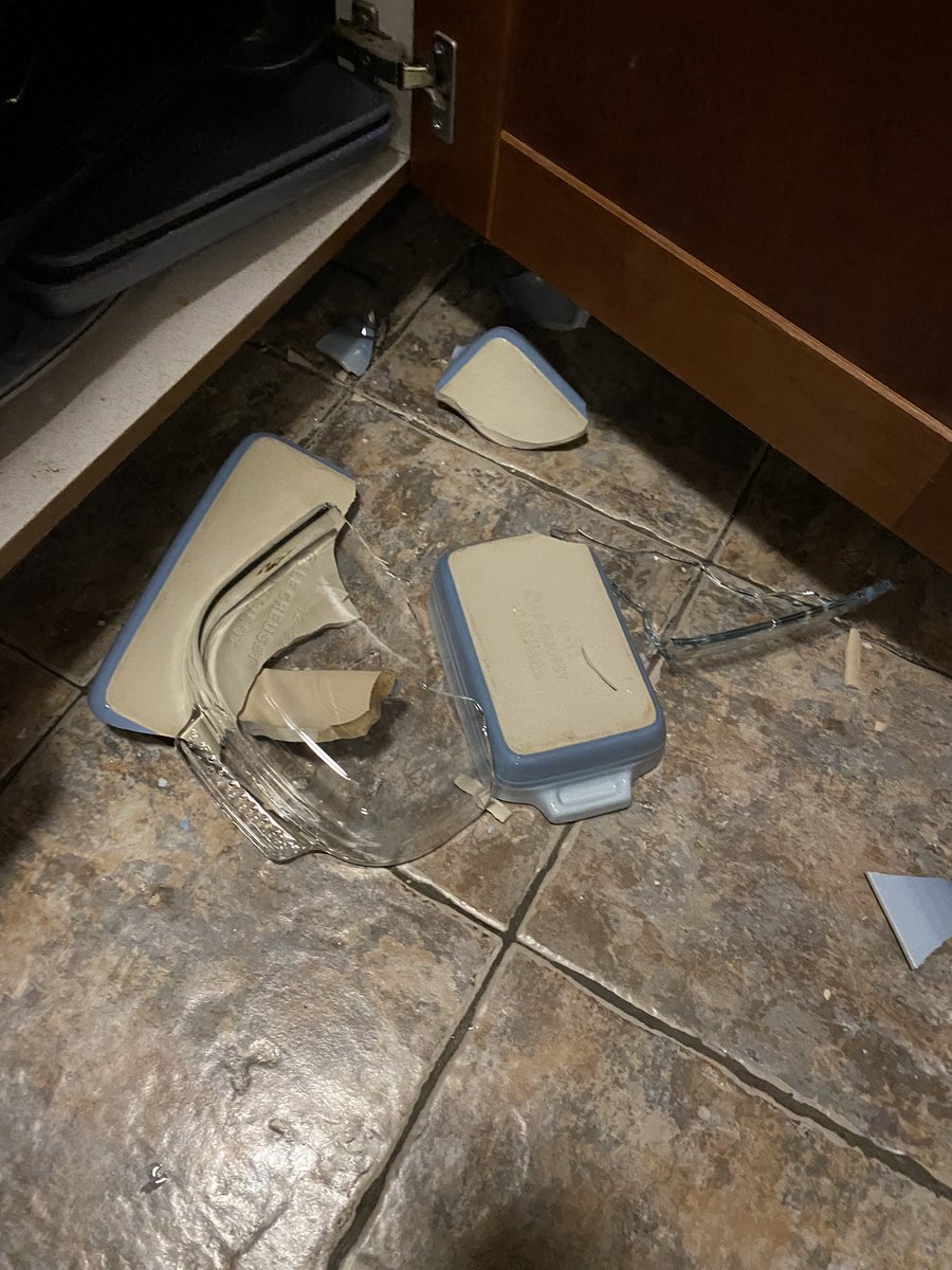 BrowellHook's tweet photo. Survived Storm Arwen, didn’t survive Storm Baby Euan…#fullboreexplorerraged1 #shoesonlyinthekitchenkids https://t.co/JaYbE30io7
