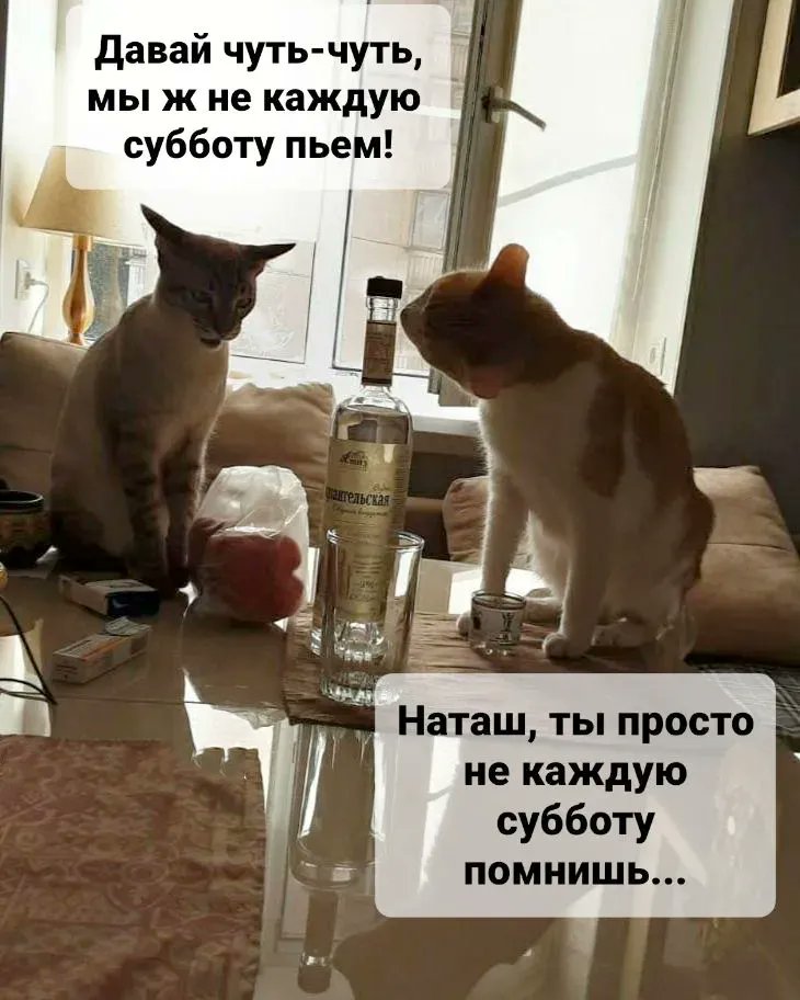 drunktwi's tweet photo. https://t.co/QCrqVoOArQ