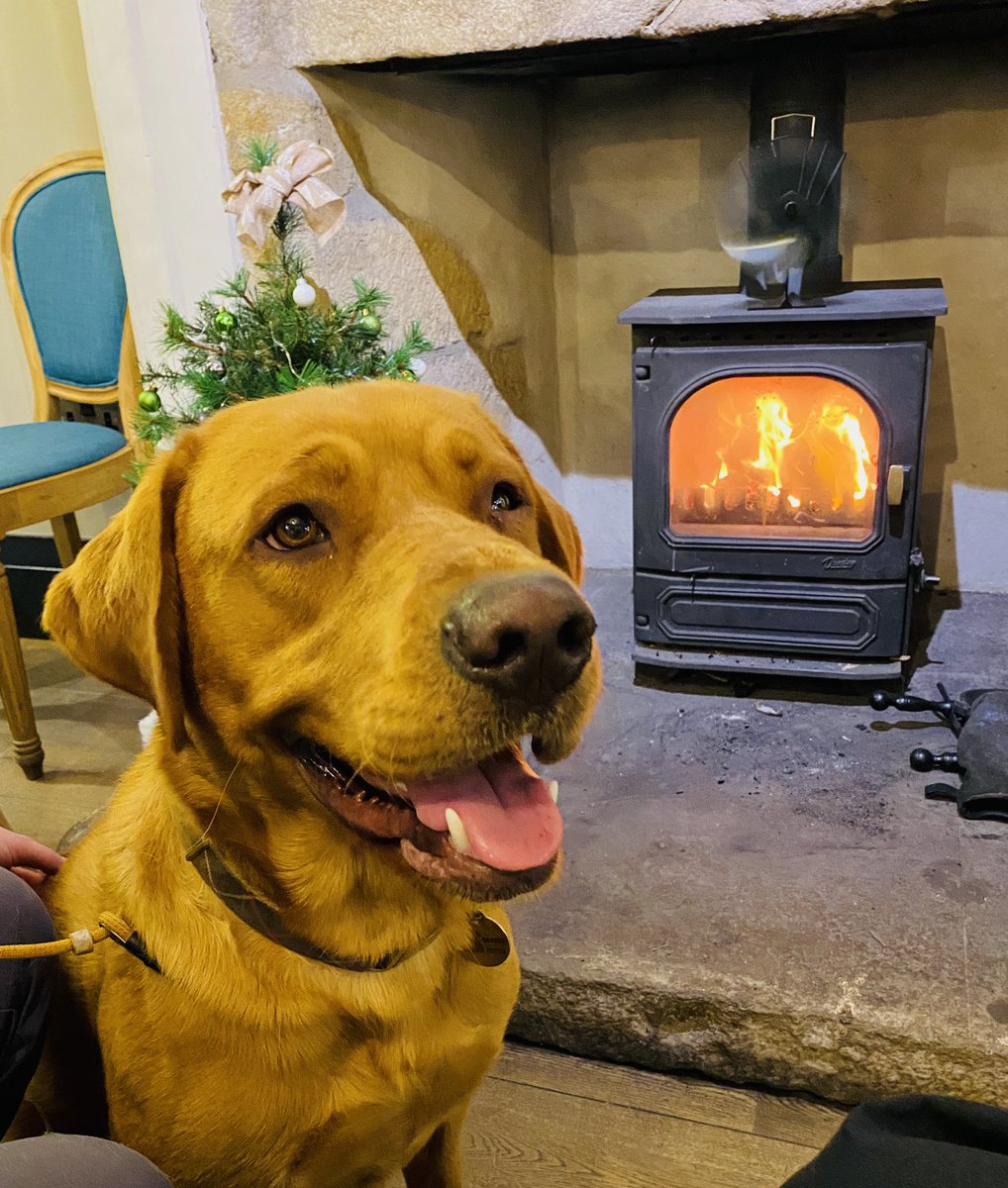 G3developments's tweet image. Sometimes all you need is a pub, a log burner and a Labrador.