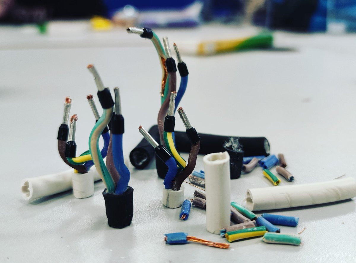 AlestairMeridi1's tweet photo. Electronicforrest https://t.co/QWmEpZfNmJ
