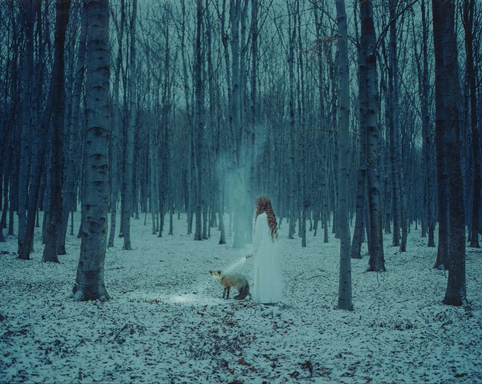 womensart1's tweet photo. 'The Hidden' by Polish artist and photographer Laura Makabresku #WomensArt https://t.co/V1cCGMHj9H