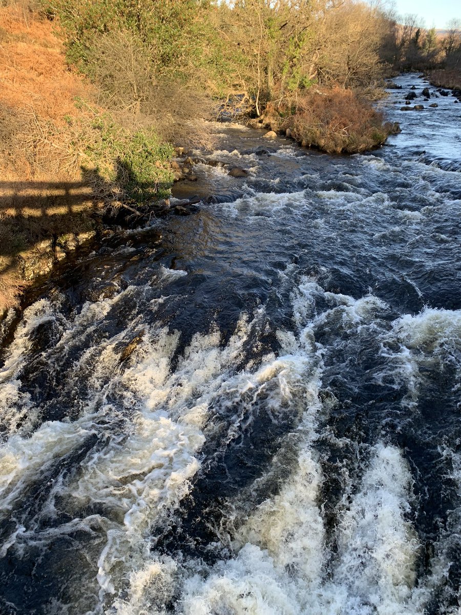 EdgeJoinery's tweet photo. Yesterdays rambling #hiking #scotland #southayrsire #Girvan # https://t.co/xAWsgco0Jx