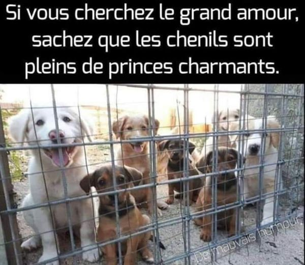 Loovenelle's tweet photo. https://t.co/U6yY1Y56Hh