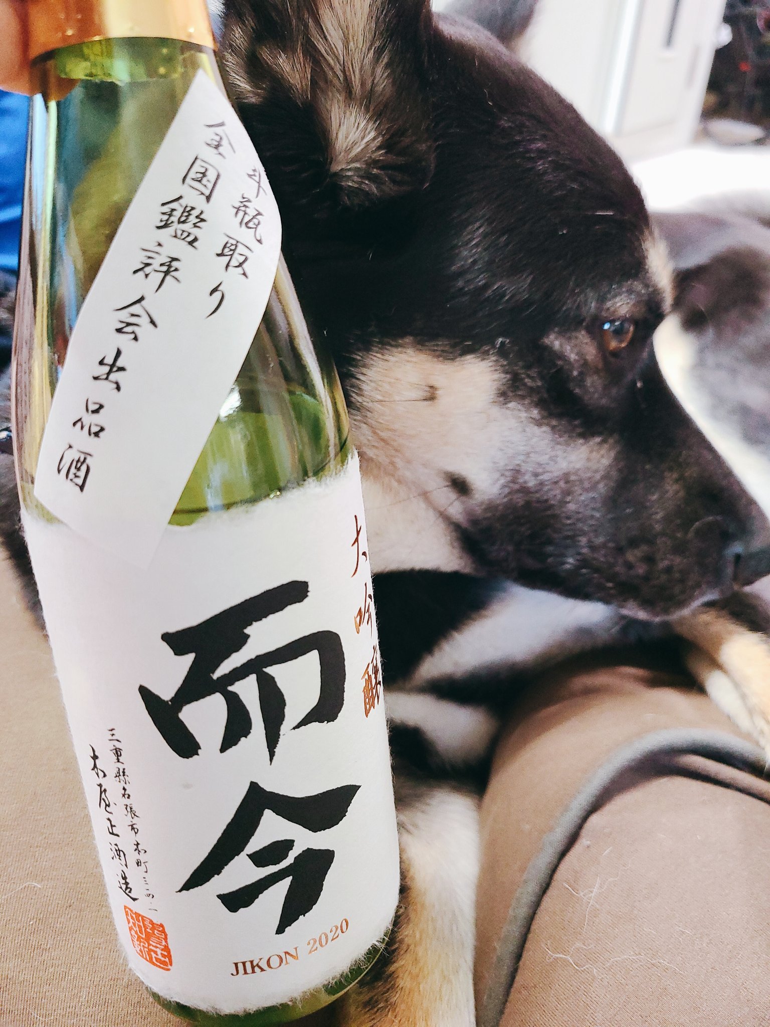 酒と犬の日々 Twitter Search Twitter