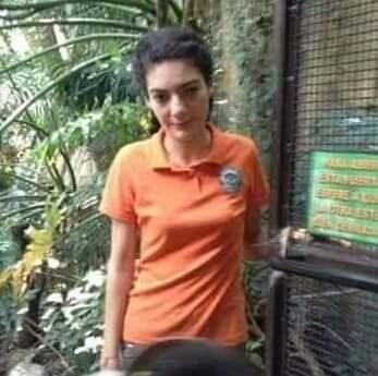 solar power                meralco