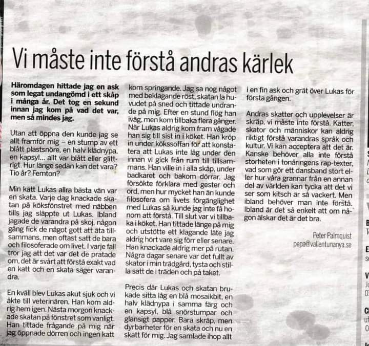 I en värld styrd av emotionellt handikappade idioter värms hjärtat av att läsa det här.
❤️❤️❤️