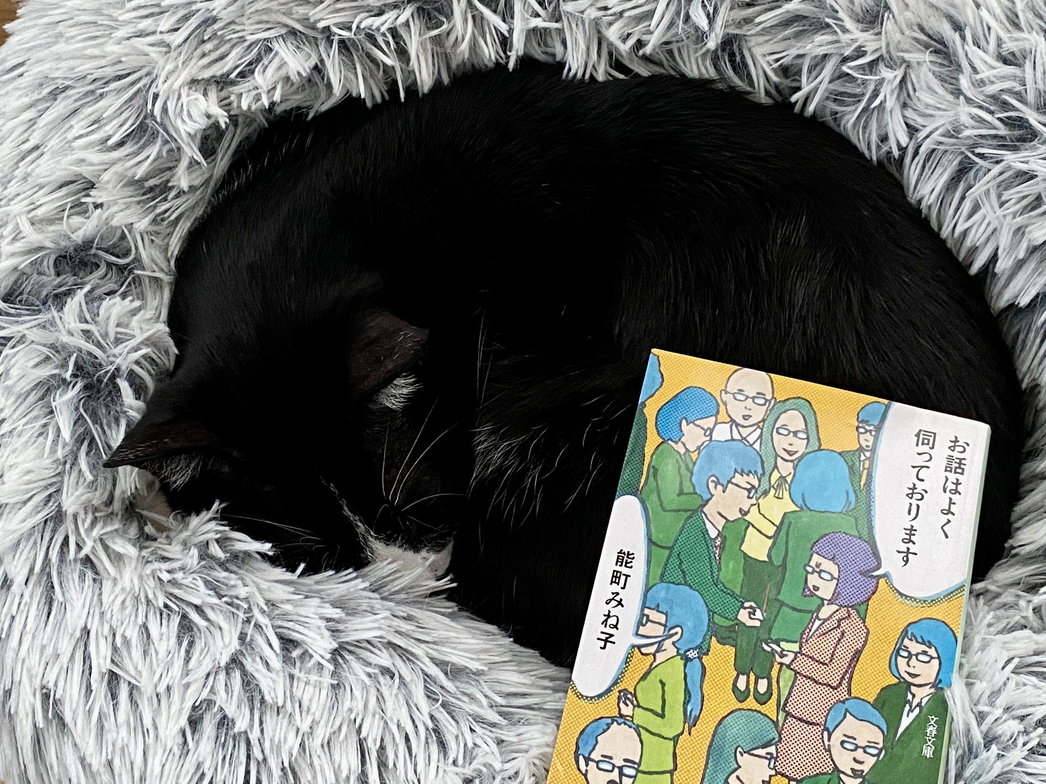 オゼキカナコ かかみがはら暮らし委員会 お話はよく伺っております 能町みね子著 T Co Wckseqcvrh 電車の中 街角 カフェ たまたま隣り合わせた人の話を盗み聞きして妄想を膨らませつ展開するエンタメ系エッセイ コージーさんもよく