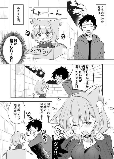会社の小さい先輩が猫な話(再掲)
#うちの会社の小さい先輩の話 