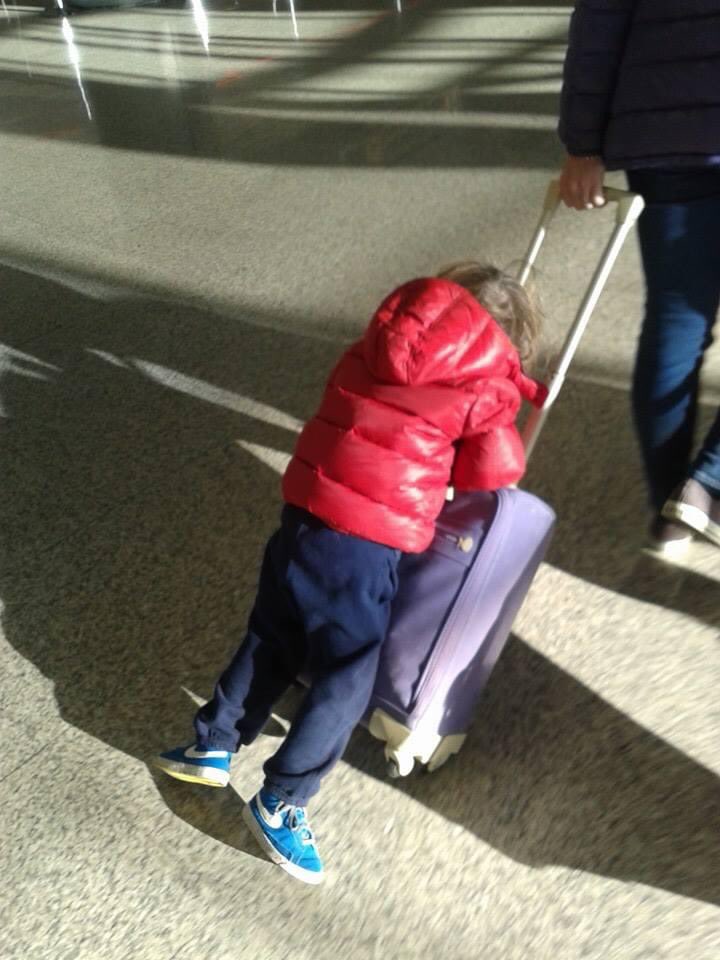 k_rim_inalna's tweet photo. Pre ravno 8 godina putovala sam iz Rima u Beograd na #Blogomanija.
Koja su to lepa vremena bila, mogli smo da putujemo, da pijemo paradajz sok, budemo obučeni u medvede i vuku nas na koferima!
A vidi sad, ŠTA NAM RADE, PAMETNOM DOSTA! https://t.co/IxPJwk4sgM