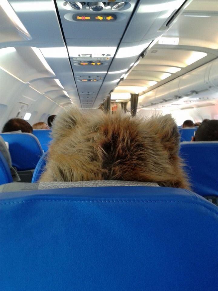 k_rim_inalna's tweet photo. Pre ravno 8 godina putovala sam iz Rima u Beograd na #Blogomanija.
Koja su to lepa vremena bila, mogli smo da putujemo, da pijemo paradajz sok, budemo obučeni u medvede i vuku nas na koferima!
A vidi sad, ŠTA NAM RADE, PAMETNOM DOSTA! https://t.co/IxPJwk4sgM