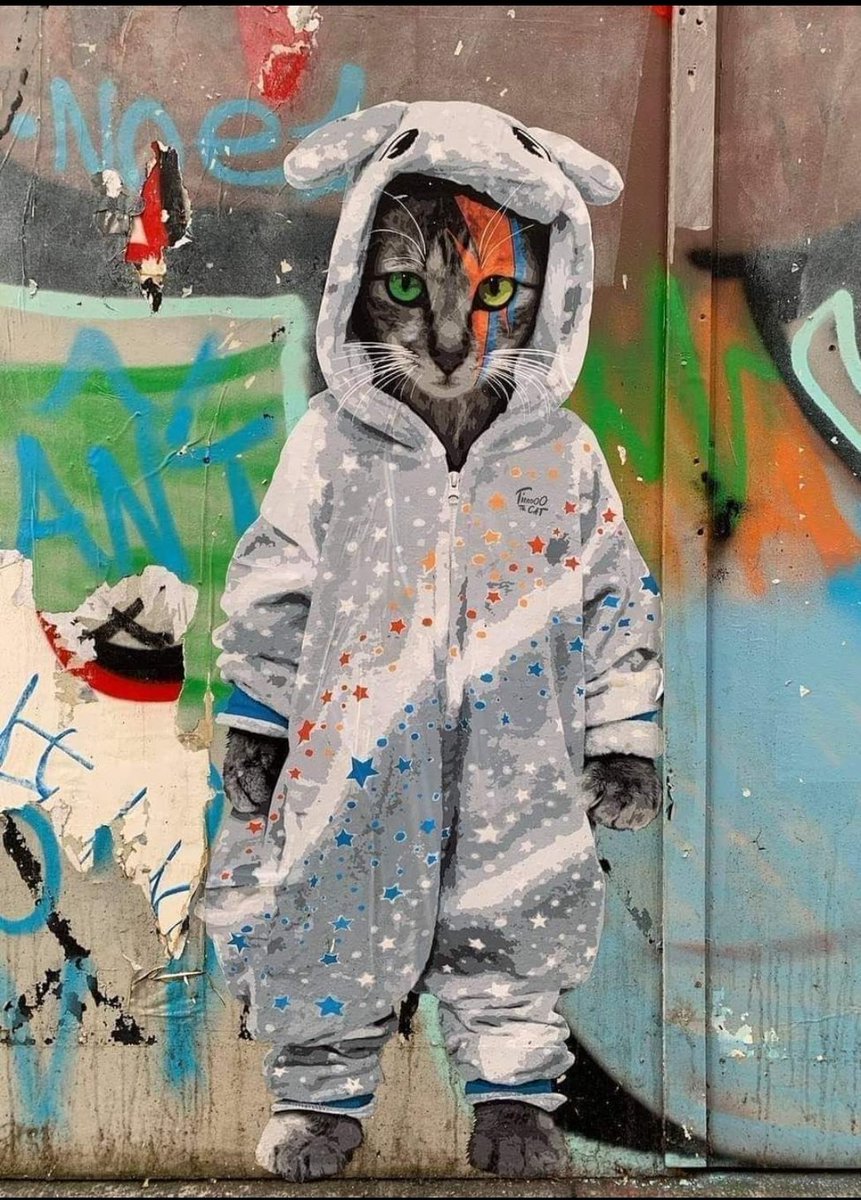Artist is: Tianooo The Cat.
Bonjour!