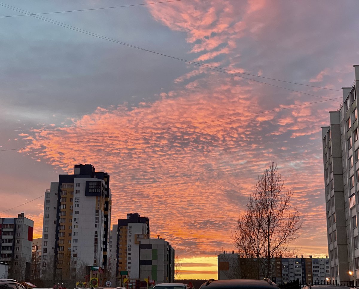 Олег Гилёв tweet media