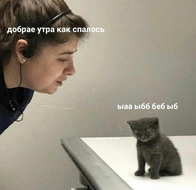 clique_TOP1's tweet photo. состояние примерно такое https://t.co/VNQ6qTPV4Q
