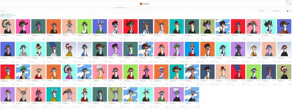 Cryphodl_'s tweet image. I just grab some floor @FunkyOtters 🚀HODL