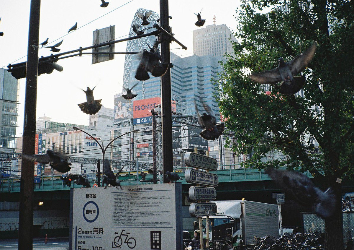 zentanakata's tweet photo. scenes from tokyo https://t.co/MOmsoj5IgI