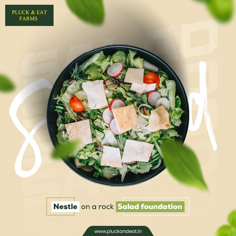 EatPluck's tweet photo. Enjoy fresh Lettuce Mix, Swiss Chard, Italian Basil, and Cherry Tomatoes tossed into our healthy and scrumptious salad. 
Order at https://t.co/f8jgKs3zXl now! 🥗🥬

#pluckandeat #pluckandeatfarms #hydroponicfarms #vegetables #food #healthyfood #vegan #vegetarian #foodporn #fru https://t.co/StmIyYfUY6