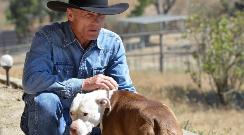 Happy 71st birthday Ed Harris 
