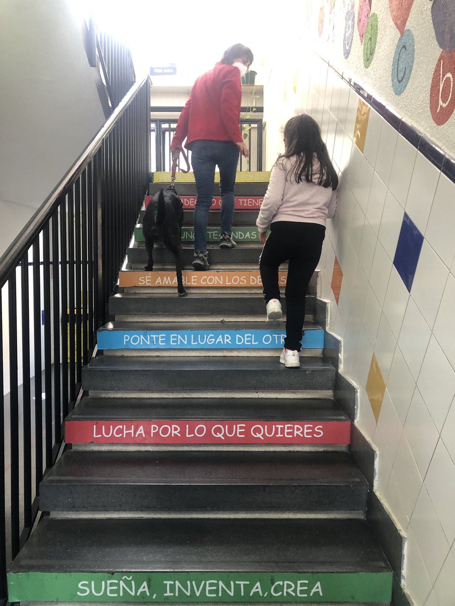 CpSainz's tweet photo. La perrita Rumba nos enseña a leer y a gestionar nuestras emociones. Programa perros y letras con el apoyo del Ayuntamiento de Colmenar Viejo. https://t.co/Xf64mHKTKQ