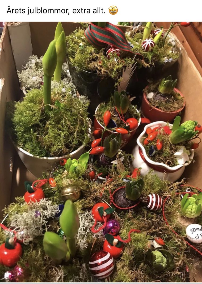 Älskar <a href="/Scouterna/">Scouterna</a>, på senaste träffen gjorde barnen julblommor som ska säljas på den årliga julmarknaden som äger rum idag (i Västertorp i södra Stockholm). Och pengarna går till verksamheten lokalt 🤗