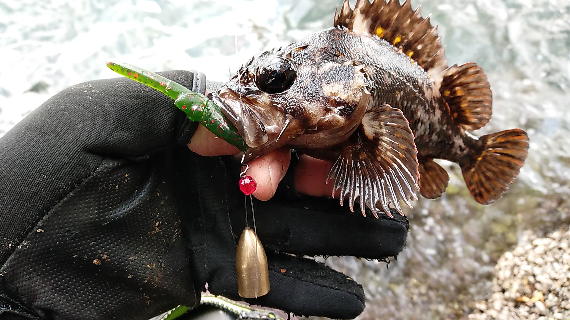 オンスタックルデザイン Twitter Search Twitter