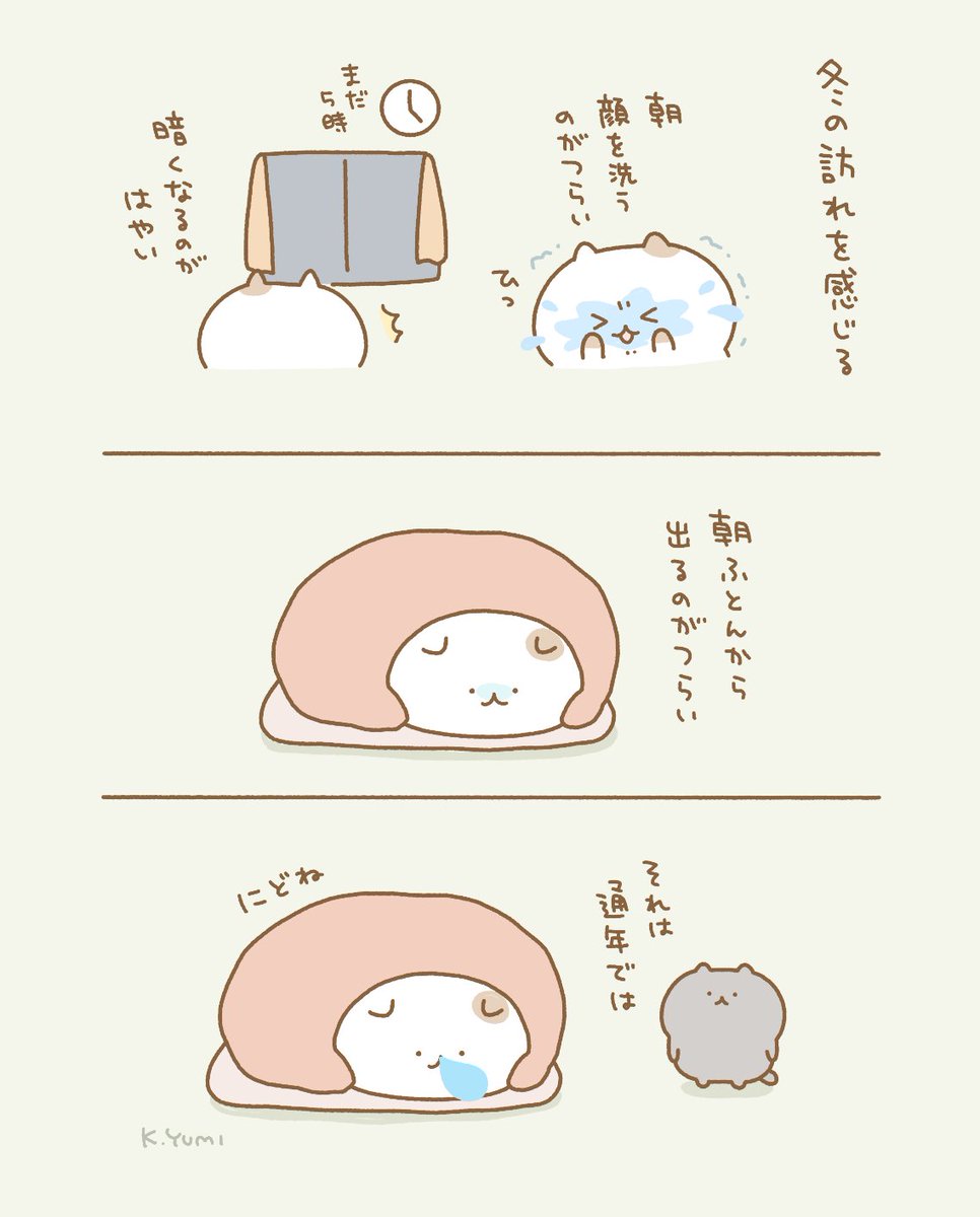 冬来てますね 