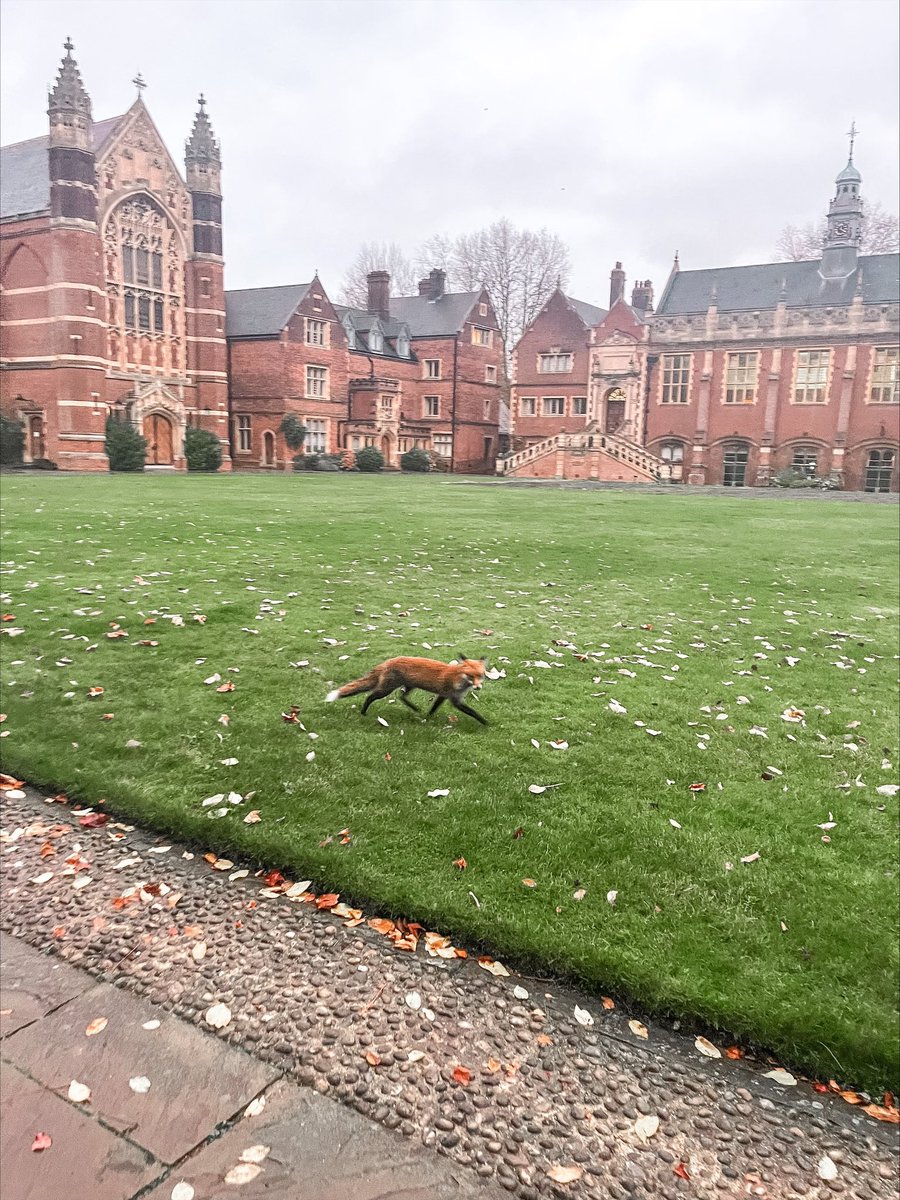 Selwyn College tweet media