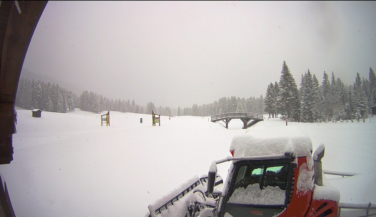 La #neige est là. 🤩🤩❄ Bien présente  à tous les étages. Un rapide coup d œil sur les webcams vous le confirmera. autrans-meaudre.com/fr/hiver/ski/w…

Et pour ceux qui se posent la question, concernant une prochaine ouverture, un peu de patience..
#montagne #WinterIsComing #alpes #vercors
