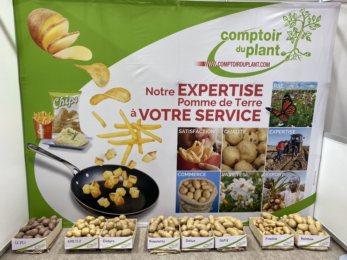 Venez nous retrouver sur notre Stand “Comptoir du Plant” à Interpom (Courtrai-Belgique) Dimanche 28 Novembre toute la journée, Lundi 29 Novembre et Mardi 30 Novembre.
