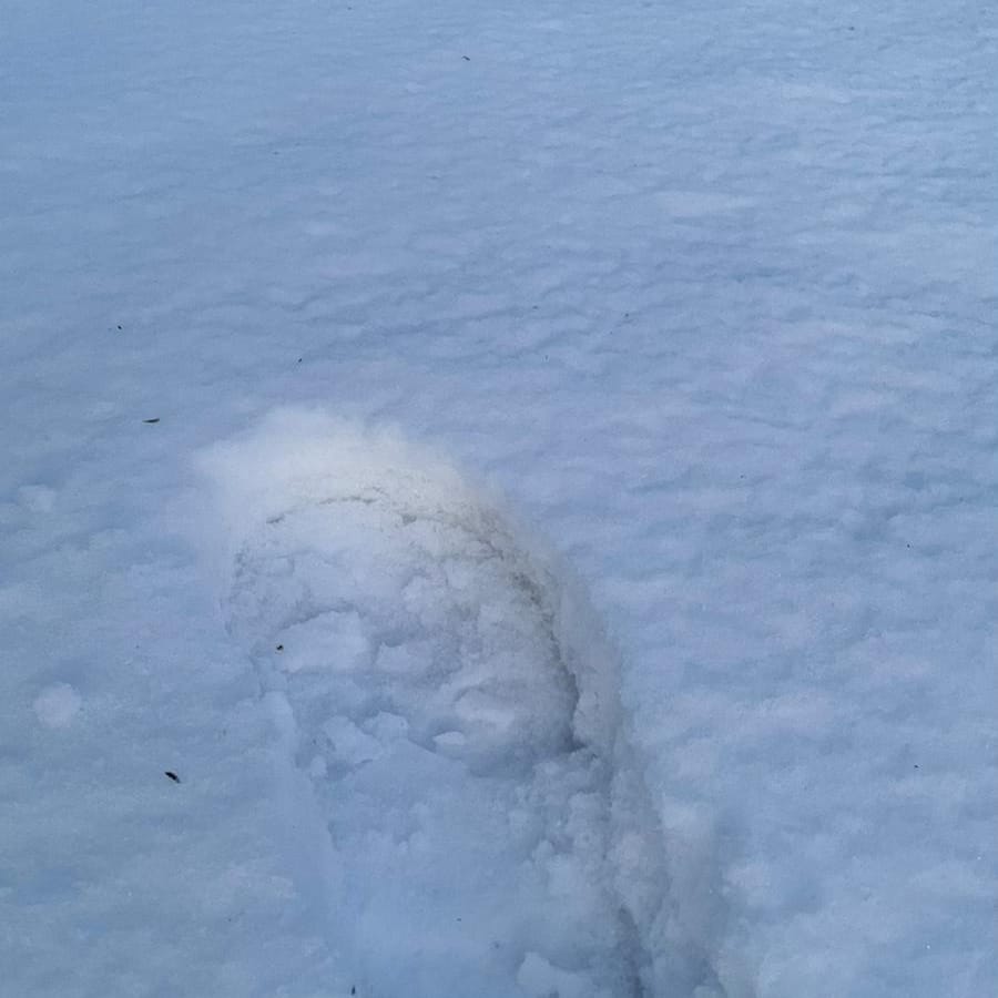 Broadway Golf Club tweet media