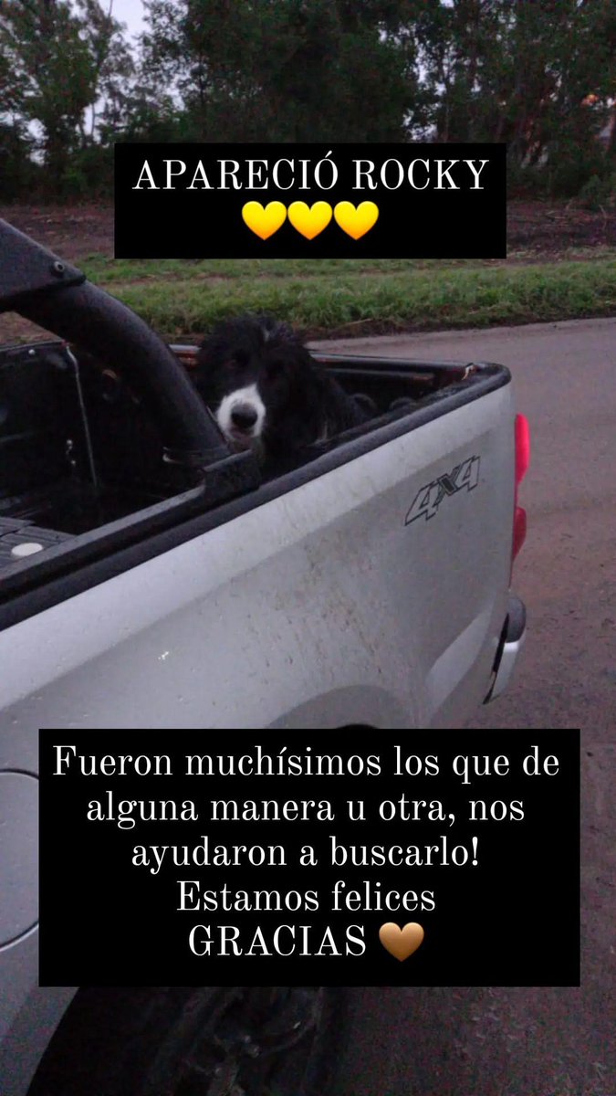 Celi_Stefoni's tweet photo. GRACIAS A TODOS 🤎 https://t.co/xWBRYBMTd5