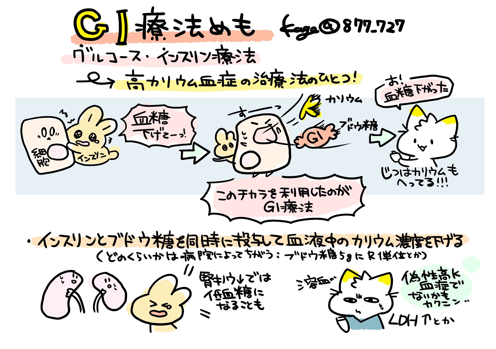 看護師のかげさん イラスト看護帖書籍化 Gi療法めも グルコース インスリン療法 のことで糖尿病関連の治療ではなく インスリンが血中のグルコースとカリウムを細胞内に取り込むことで血糖値を下げるという特徴を利用した高カリウム血症の治療