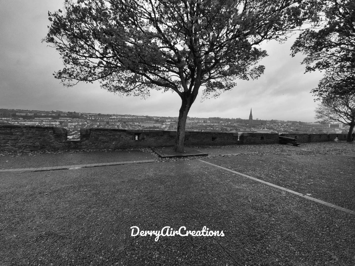 DerryCreations's tweet photo. Looking for a Christmas gift for your love ones living away or just for your own Home.
https://t.co/jbNws92eny
Has it all from its stunningly beautiful Aerial pictures of Derry. We do Colour and Black White and if needed we can do any size if requested. https://t.co/OVwsQXxpHV