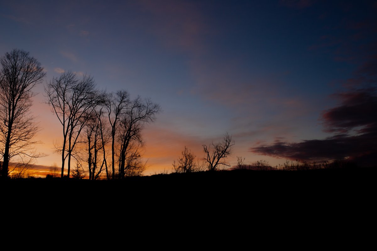 fotogosaurus's tweet photo. here comes the sun https://t.co/B6BlWvZcGW #VT #Vermont #NewEngland #Sunrise #Clouds #DayBreak #NewDay #start #end #Beginning #Ending #SomethingNew #SomethingOld #EarlyAM #EarlyMorning #Canon #Sigma #November #EarlyWinter #Cold #Crisp #LookUp #LookOn #Wonder #think #Reflect https://t.co/c3JjWcP2QN
