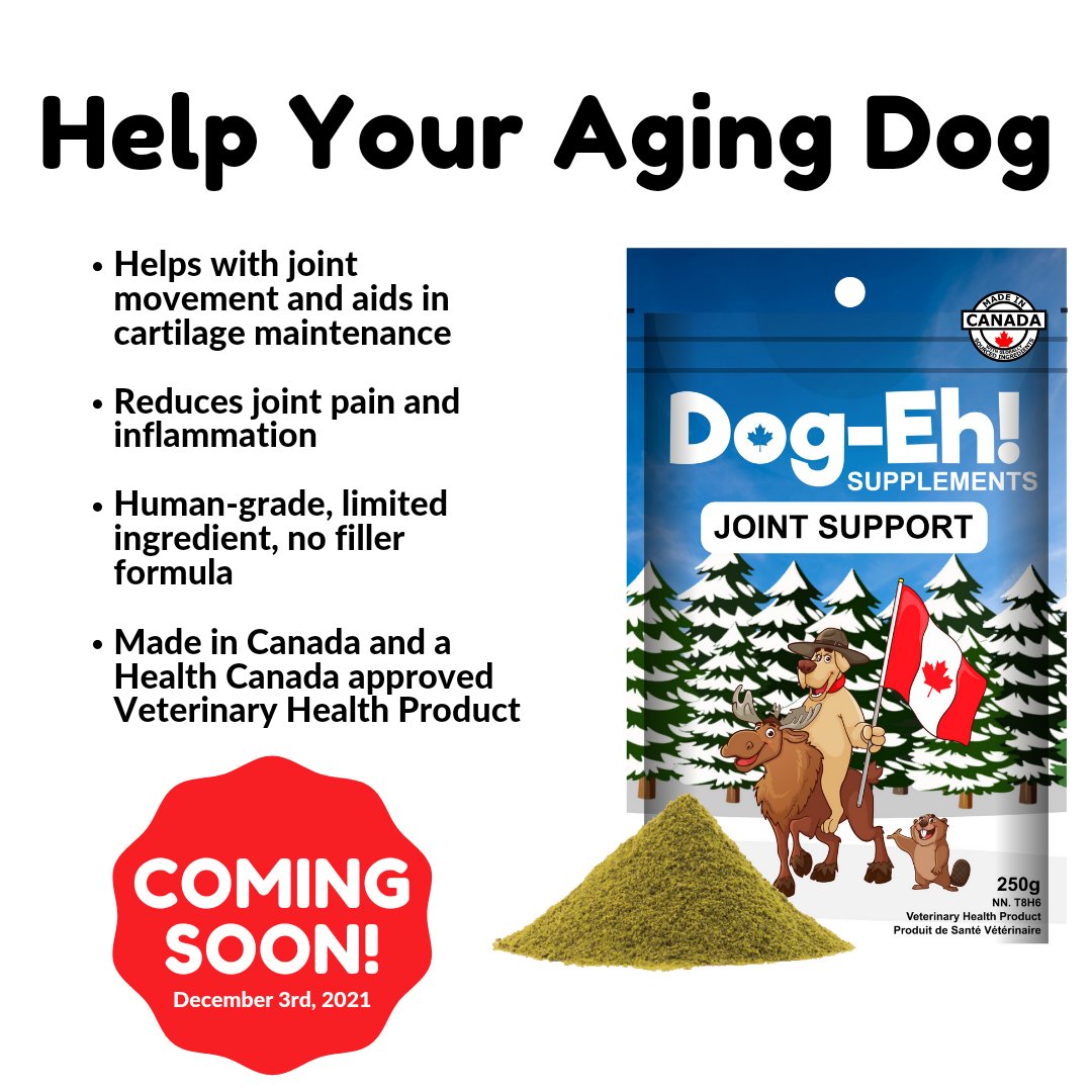 DogEhOfficial's tweet image. Try Dog-Eh! Joint Support and see the difference for yourself 🎉 Launching Friday, December 3rd, 2021 🎉 🇨🇦🇺🇸

#newproduct #dogjointsupplement #dogjointhealth #dogjointsupport #jointsupport #jointsupplement #dogsupplements #doghealth #agingdogs #seniordog #dogeh #dogehsupplements