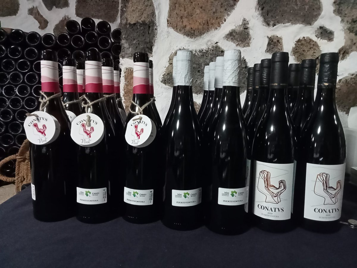BodegaConatvs's tweet photo. Con amor y pasión por el vino en La Bodega Conatvs todo esta hecho a mano. El sábado pasado le pusimos las etiquetas a nuestro vino Conatvs Pink.
#conatvspink #vinorosado #bodegaconatvs #amorporvino #amorypasion #conatvs #fuerteventura #primerabodega #hechoamano #handmade #pink https://t.co/9hVfDx9HTS