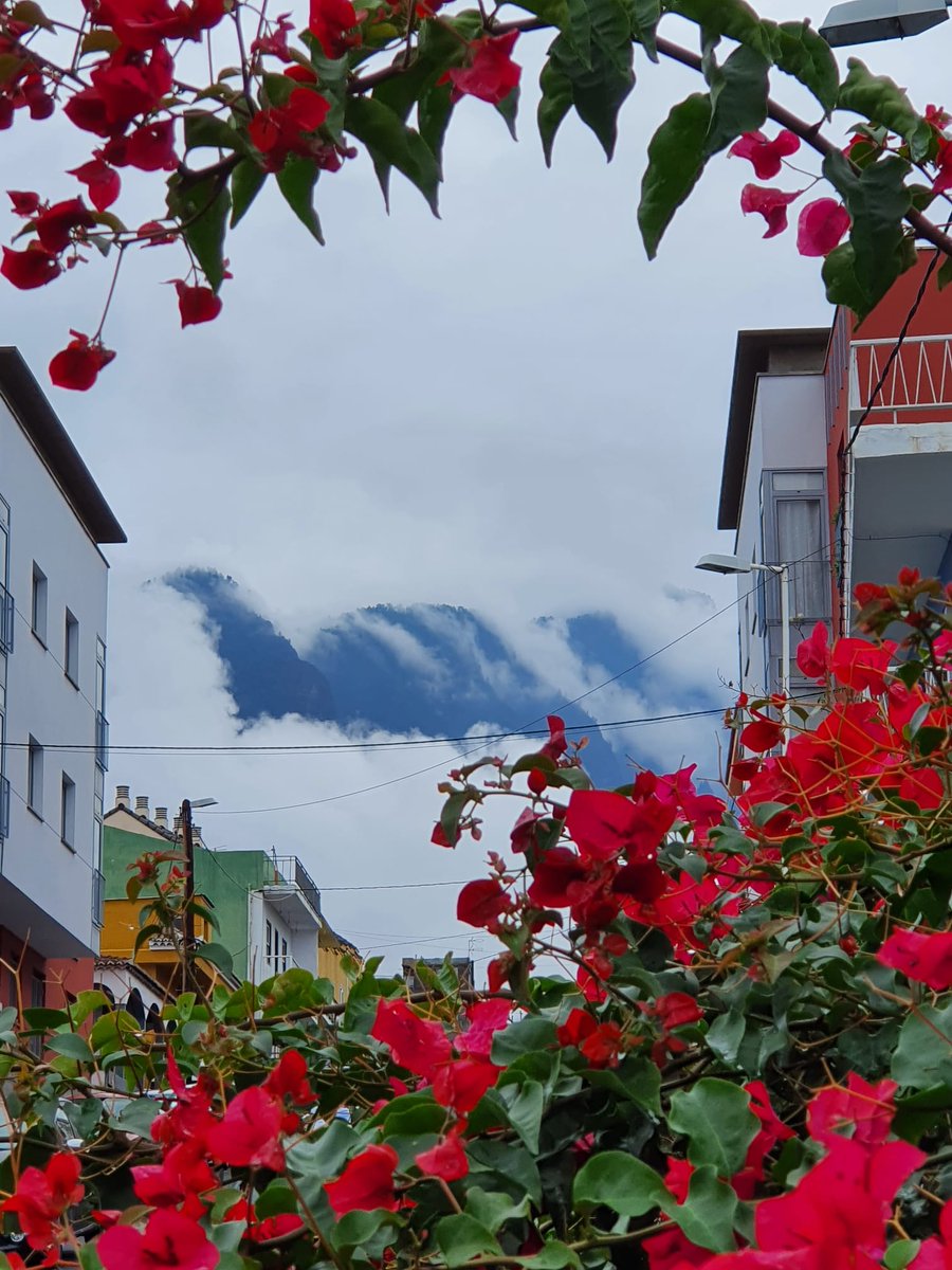 Maryluzhh's tweet photo. 2 caras de La Palma... Domingo 28Nov https://t.co/sfWIMCXueU