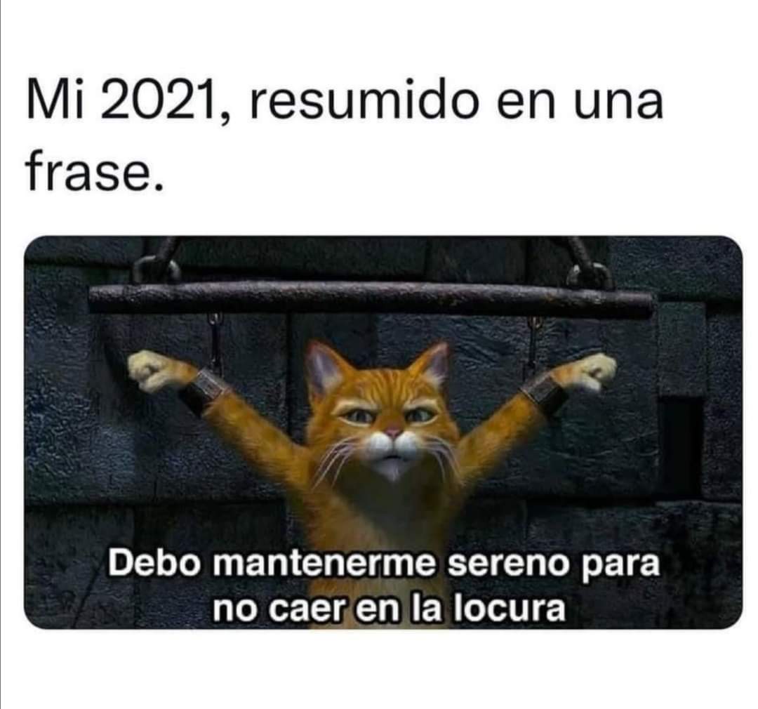 EsterPablos0's tweet photo. Pues razón no le falta al gatito... https://t.co/HJg2rTtHWn