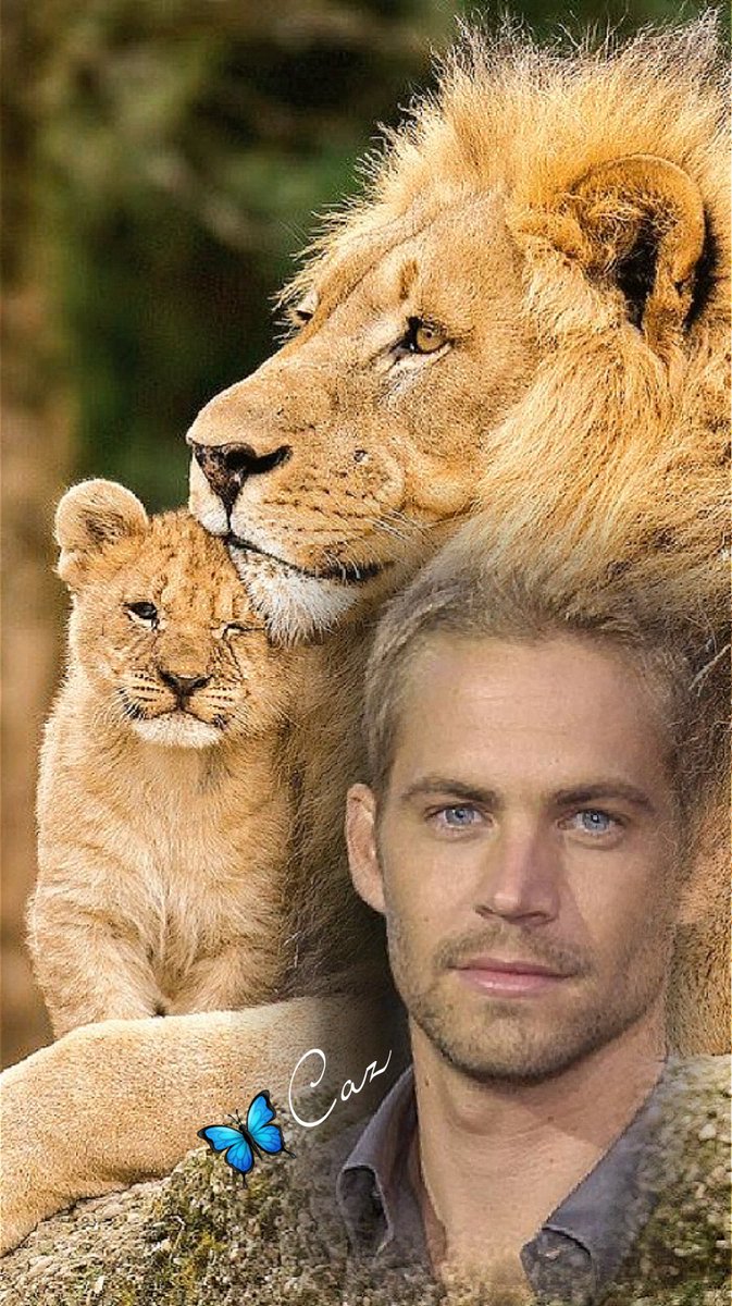 Lamboholic1's tweet photo. #AngelSunday @surfgirldeb @speedys77 @jobella09 @lee98471486 @BarbaraKern66 @Mylove_PwCe @LeadinggirlPW @MonicaFacchin @monika_72721 @Yoyaglosag @BB_8Star @Elliens_1426 @ShoppingTrine @twinkletoe_89 @teampww @paulwalker_bae @encourados06 @rippaulwalker @paulwalkerfdn https://t.co/Rm0X1JCAz4