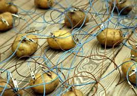 T0dod3ku's tweet photo. LAST LEAKED FOOTAGE OF ROBLOX SERVERS https://t.co/NyWqlAhHee