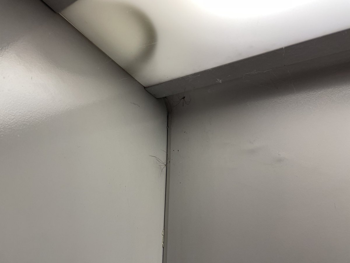 NkMont's tweet photo. @TrenordOfficial @Trenord_Press disinfezione delle carrozze sicuramente giornaliera. #covid #mobilita #milano #trenord https://t.co/MgBvmNm4GI