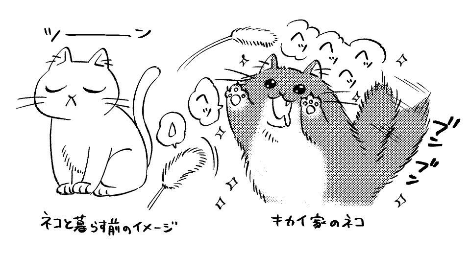 ネコなの…? 