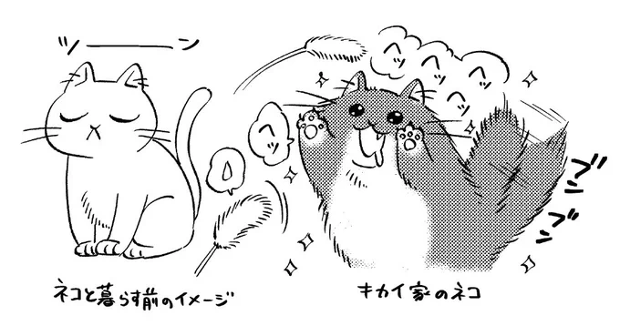 ネコなの…? 