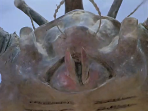 kaiju_tokusatsu's tweet photo. #Antlar #Ultraman https://t.co/q7Vq0cYvA7