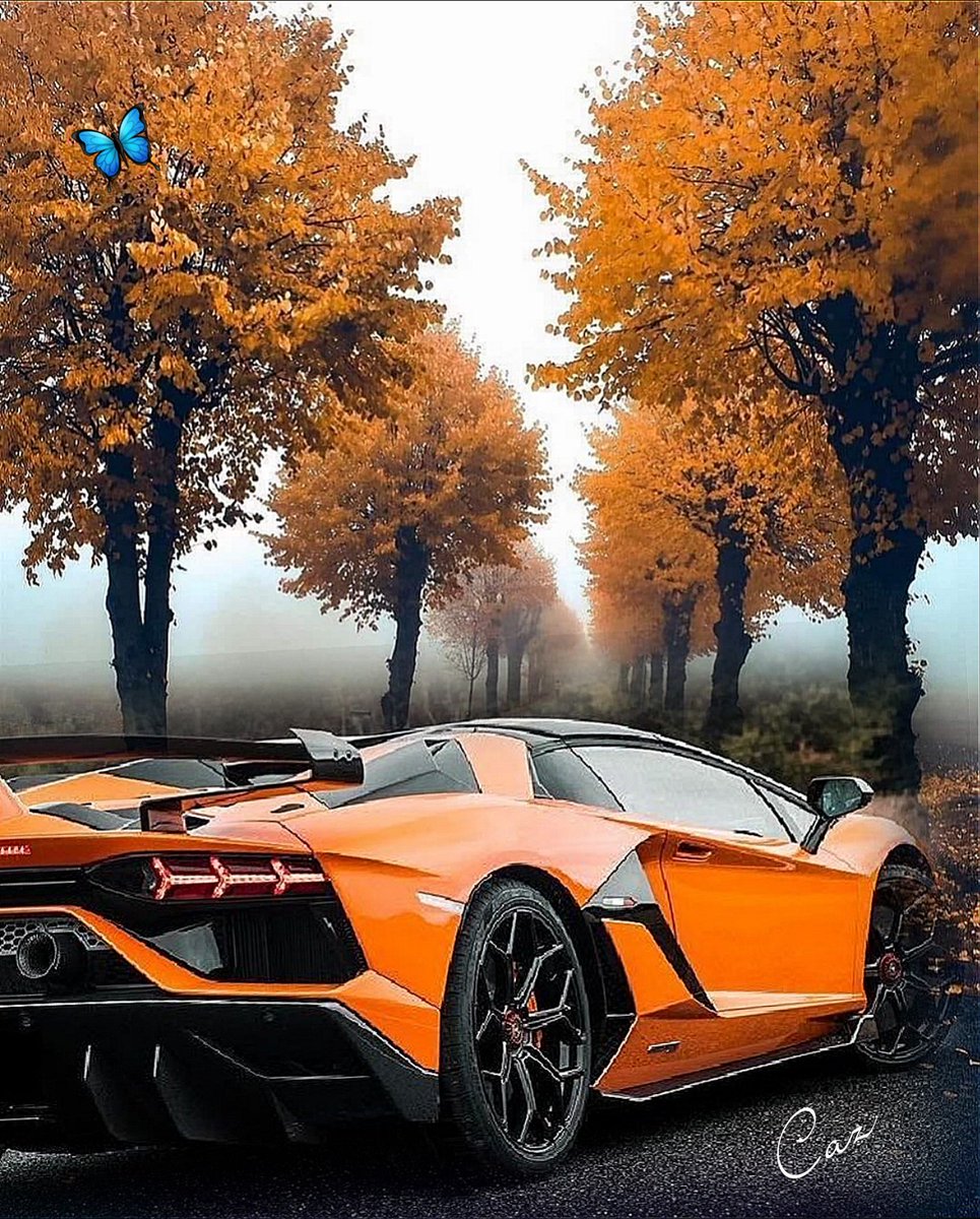 Lamboholic1's tweet photo. #AutumnSunday @officialenzari @_ExoticRides_ @Only9built @19Edg91 @GordonMercedes9 @mr_happydayz_1 @Cosito1Horacio @BathJambo @Bobby4446 @3c3p3d @Christopherkn26 @Mark_R1_5VY @_JRWitt @KirbysCarBlog @Obertraun1 @Bertie23574627 @octane_miss @lee98471486 @surfgirldeb @debbschanz https://t.co/aiQ0hua2eW