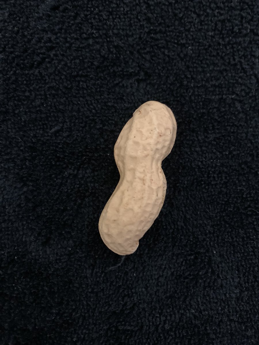 I don’t know why every time I’m eating peanuts here in Rome, I get nostalgic for my home province in New Jersey, USA.