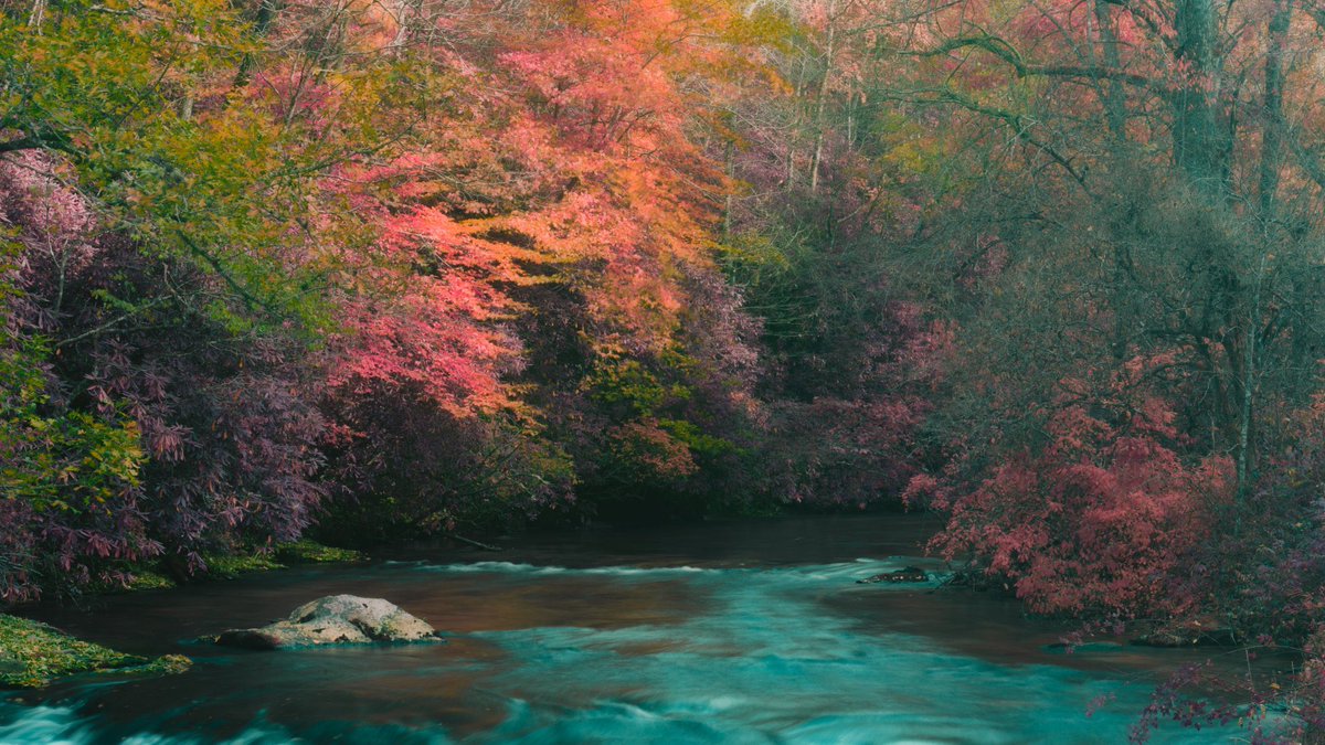 alexfelll's tweet photo. my november favourites - photographers are tagged below 🍁 https://t.co/NScM8EAoV3