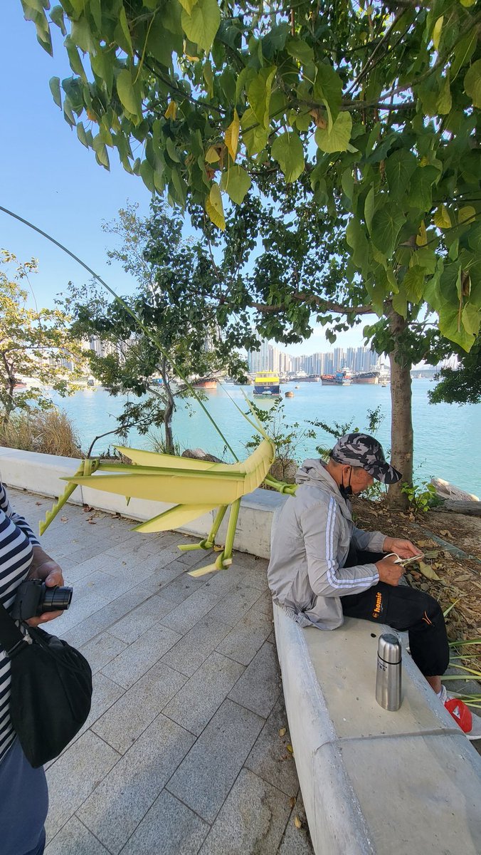 NixieLAM's tweet photo. how cute!!! This uncle just sits here looking out the promenade n chilling with his amazing work. I got A grasshopper as a gift! And he told me i hv to spray some water over it to make sure it doesn't cripple too early. Made my day! #littlethingsthatmatters #HongKong https://t.co/tb7odZQOme
