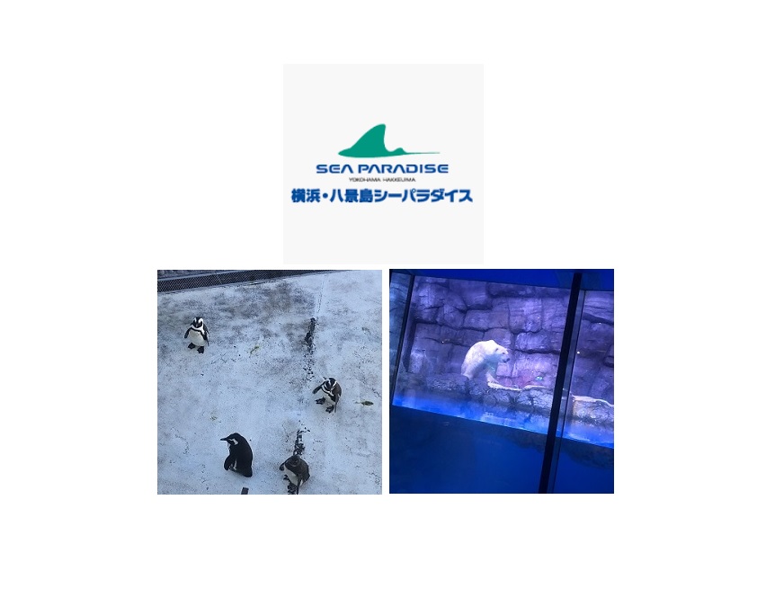 数千円の割引も可能 八景島シーパラダイスのチケット割引クーポン Jaf コンビニ フリマ等 安いおすすめ駐車場