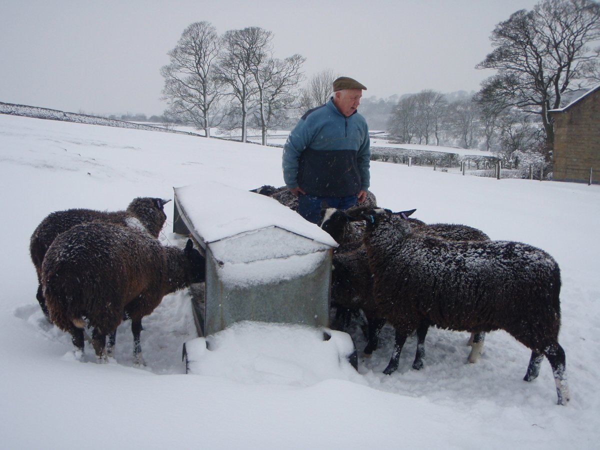 Definitely a wintry feel in today’s image! Here's an image from the book to say thank you to everyone who has braved the cold, stormy and snowy weather this weekend to care for animals. Thank you to Judith Charnley for the image of her husband Tom. @Sheepvetsoc @Moreduncomms
